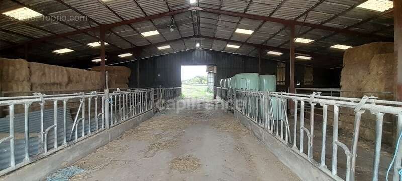 Maison à LURCY-LEVIS