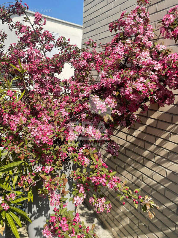 Appartement à SAINT-DENIS
