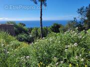 Terrain à LA TURBIE