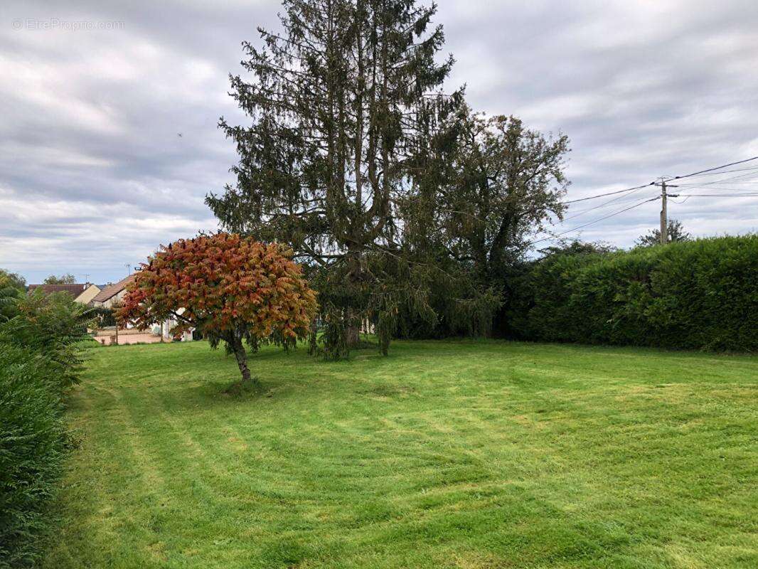 Maison de caractère -192 m² - Terrain 1 435 m² - photo 5