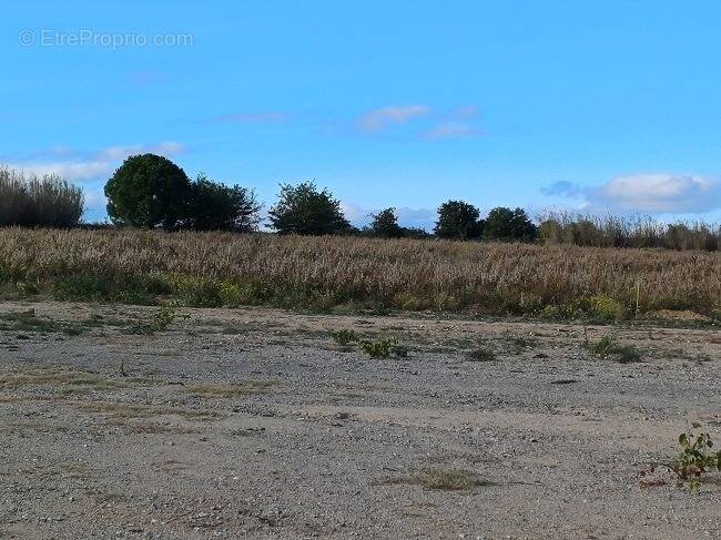 Terrain à CASES-DE-PENE