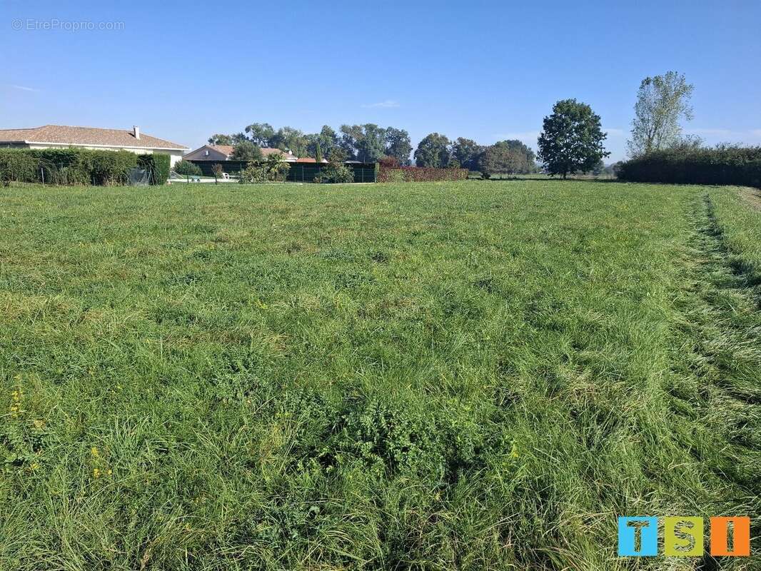 Terrain à MARTRES-DE-RIVIERE