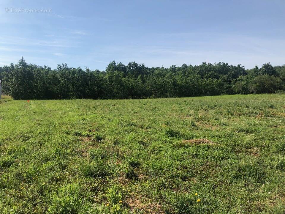 Terrain à SAINT-AIGNAN