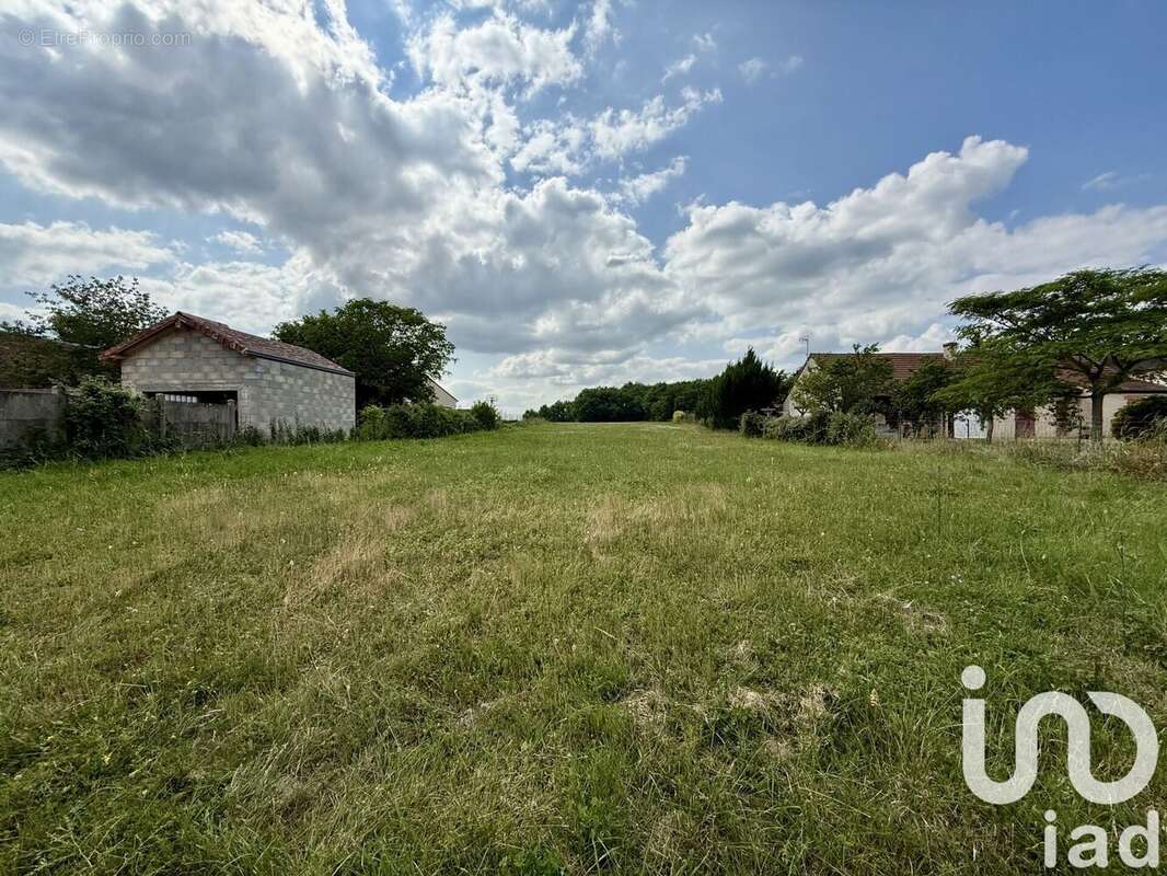 Photo 6 - Terrain à PRESSIGNY-LES-PINS