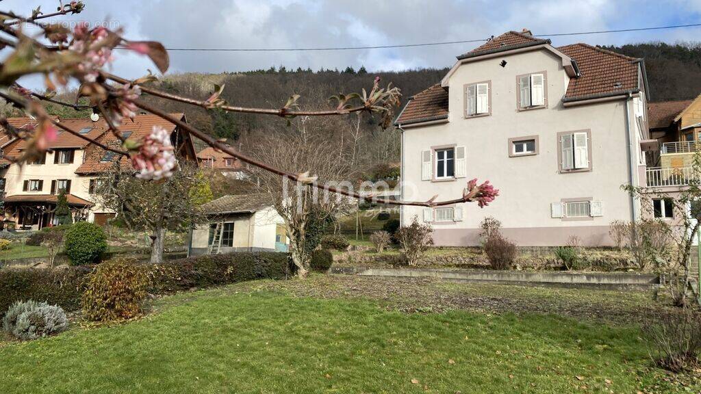 Maison à GUEBWILLER
