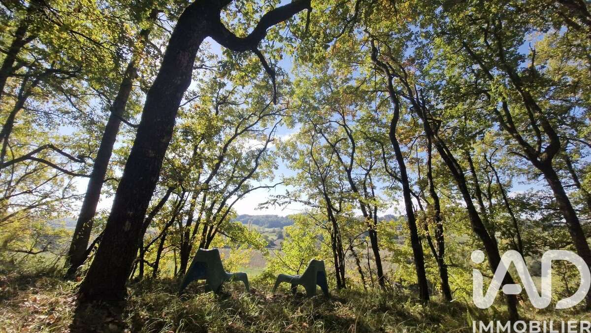 Photo 2 - Maison à SAINT-PEY-DE-CASTETS