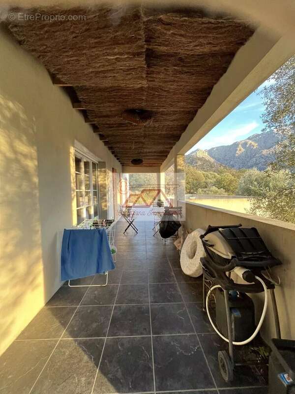 Maison à MONTEGROSSO