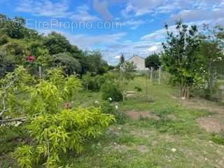 Maison à SAVIGNE-SUR-LATHAN