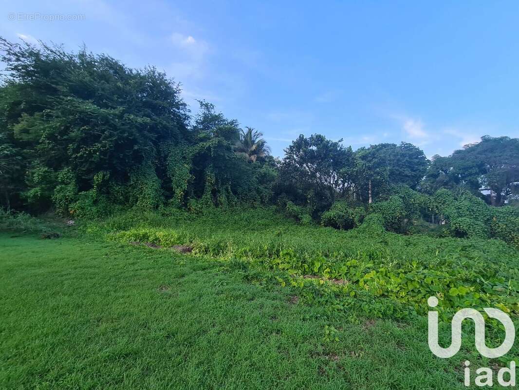Photo 2 - Terrain à MORNE-A-L&#039;EAU