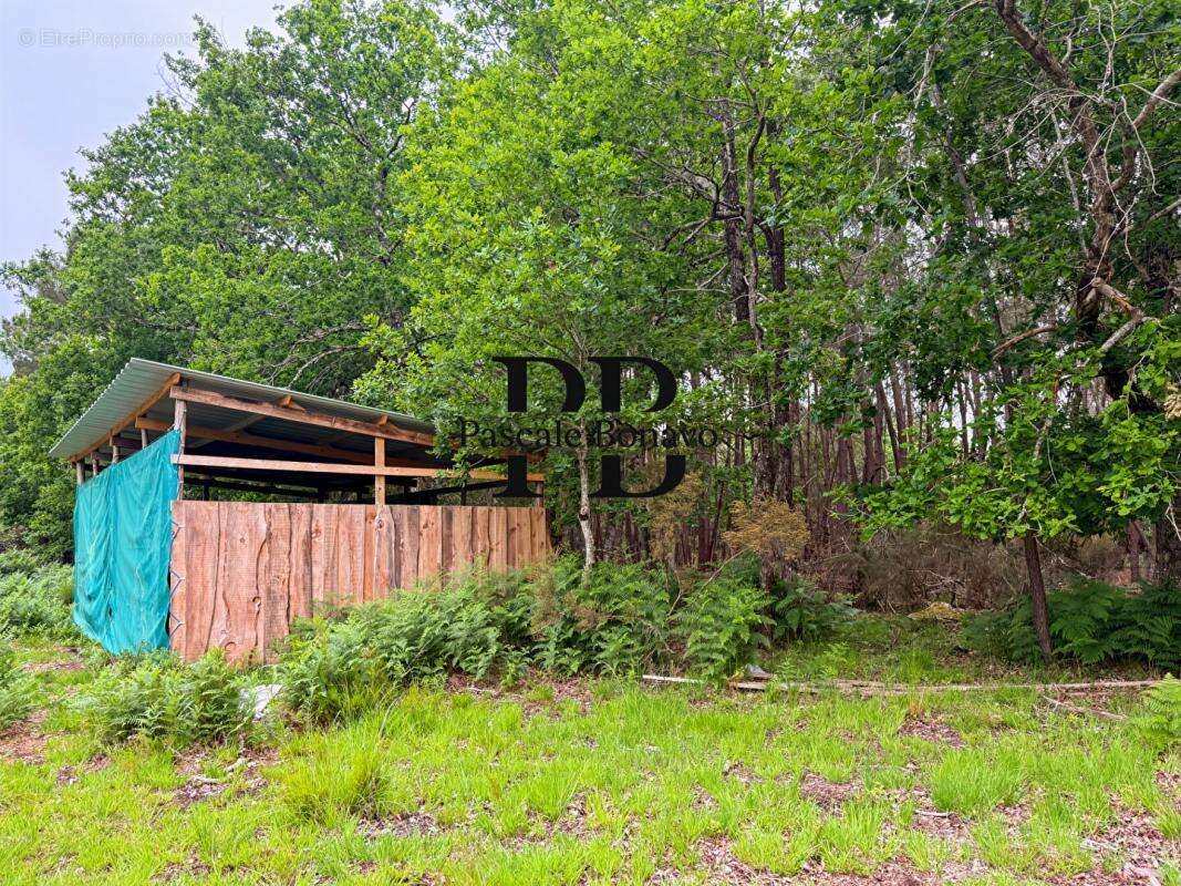 Terrain à VENDAYS-MONTALIVET