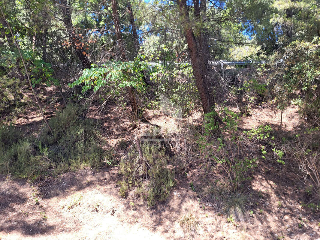 Terrain 1073m² à peyruis - photo 3