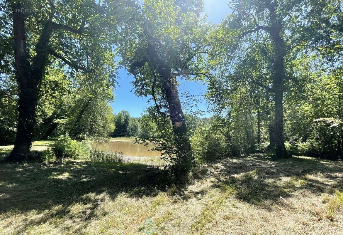 Domaine du xviiième siecle sur + de 8,5 ha avec etang et dependances - photo 9