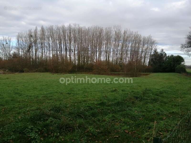 Maison à SAINT-MALON-SUR-MEL