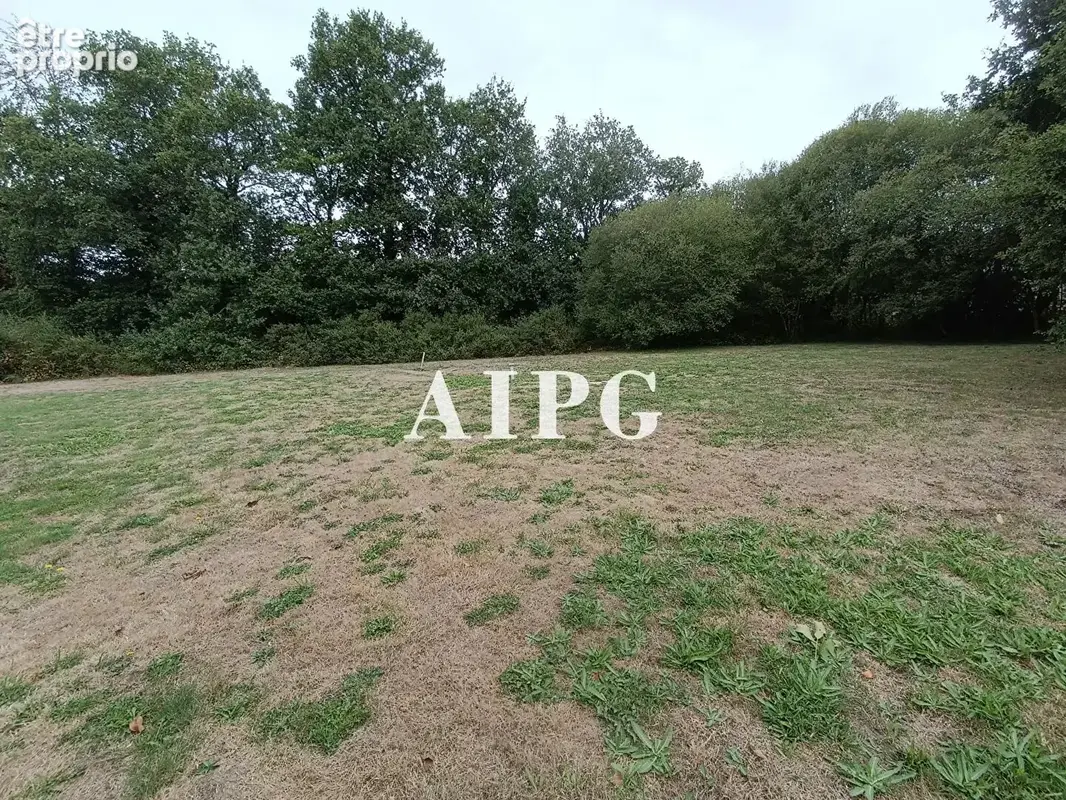 Saint-Aignan, longère à vendre - photo 15