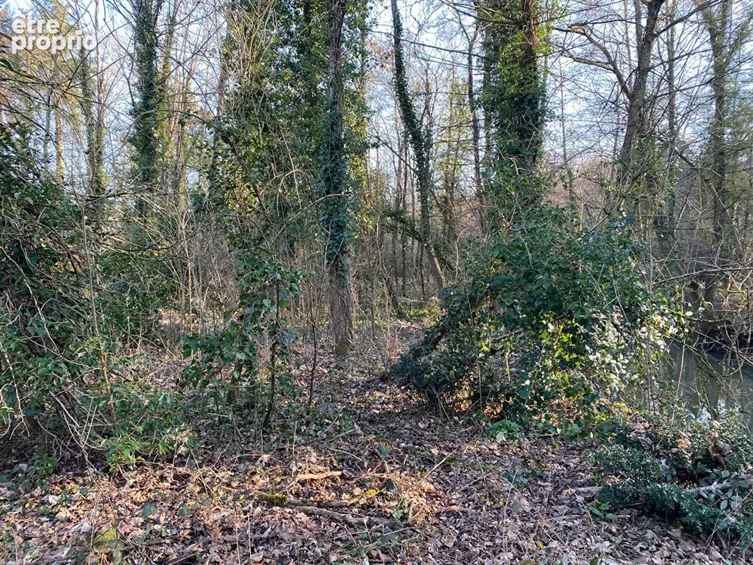 Terrain 3800m² à olivet - photo 3