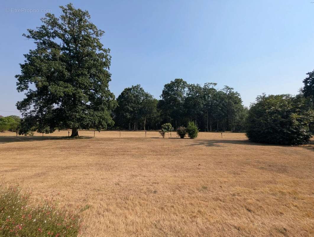 Maison de 218 m² sur une superbe parcelle de 15 948 m² - photo 4