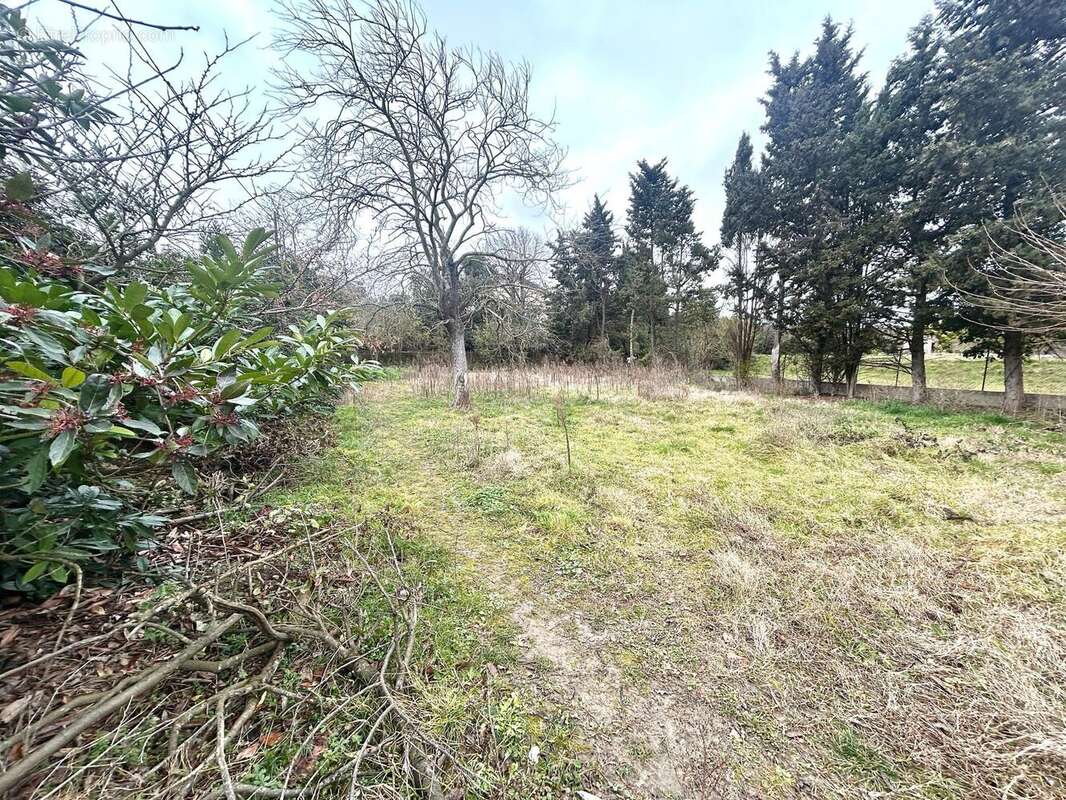 Photo 3 - Terrain à BRAM