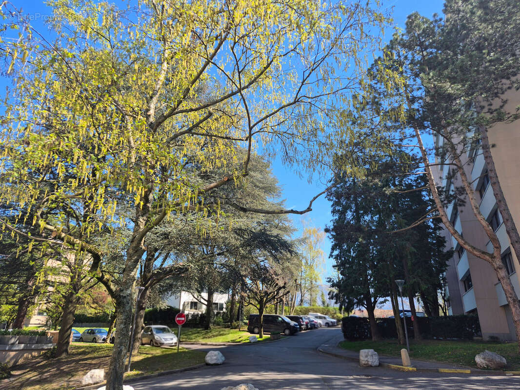 Appartement à SAINT-JULIEN-EN-GENEVOIS