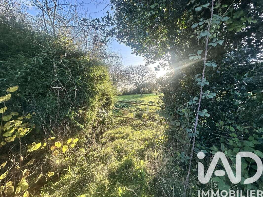 Photo 3 - Terrain à PICAUVILLE