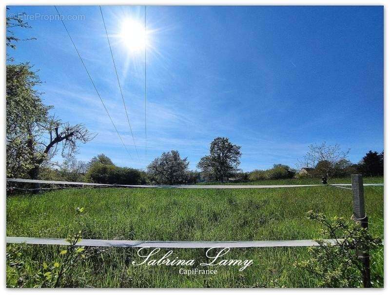 Terrain à SUIZY-LE-FRANC