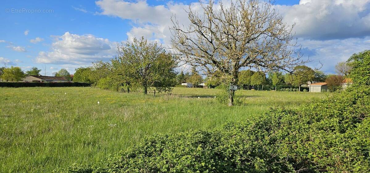 Terrain à VOEUIL-ET-GIGET