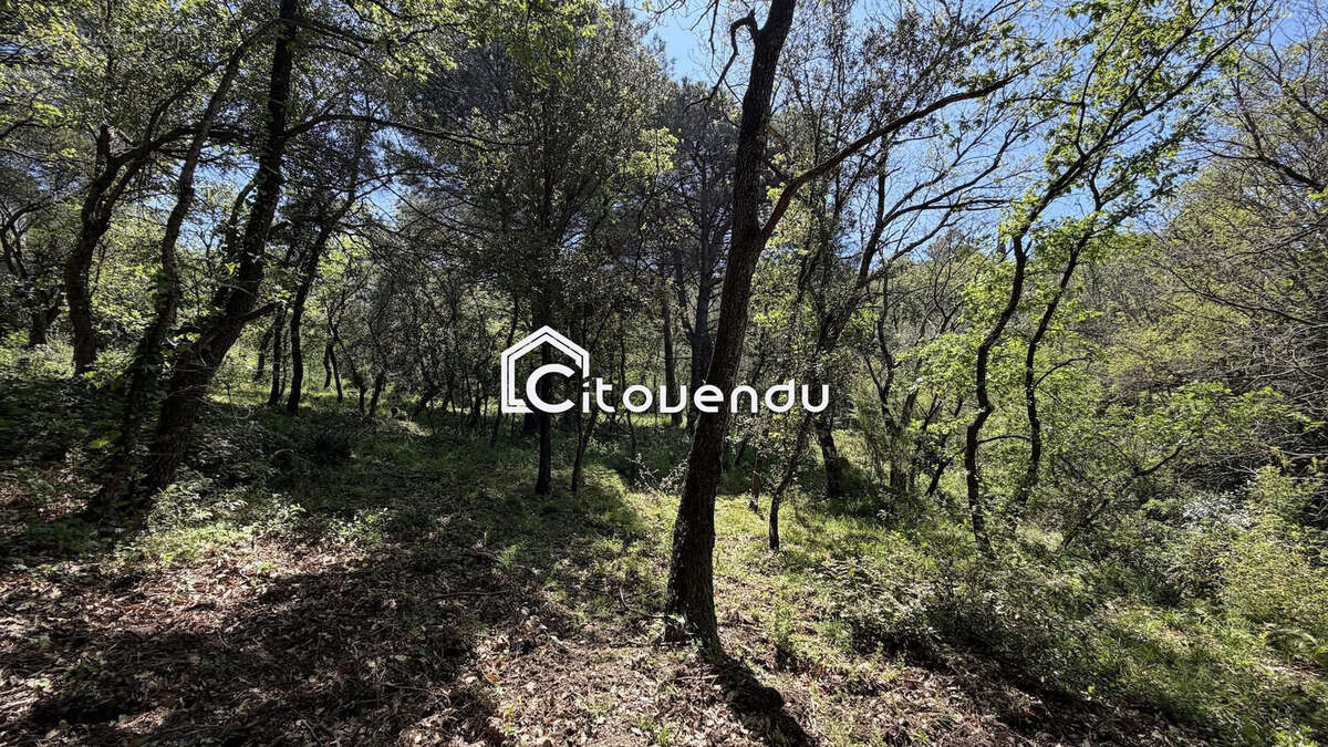 Terrain à MONTESQUIEU-DES-ALBERES