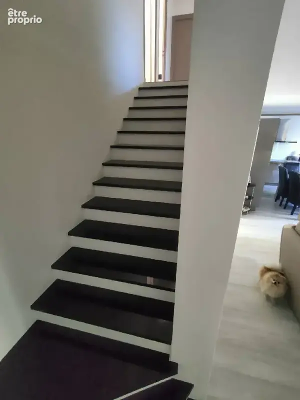 Maison 6 pièces 115 m² à vendre à Mitry-Mory (77290) - photo 8