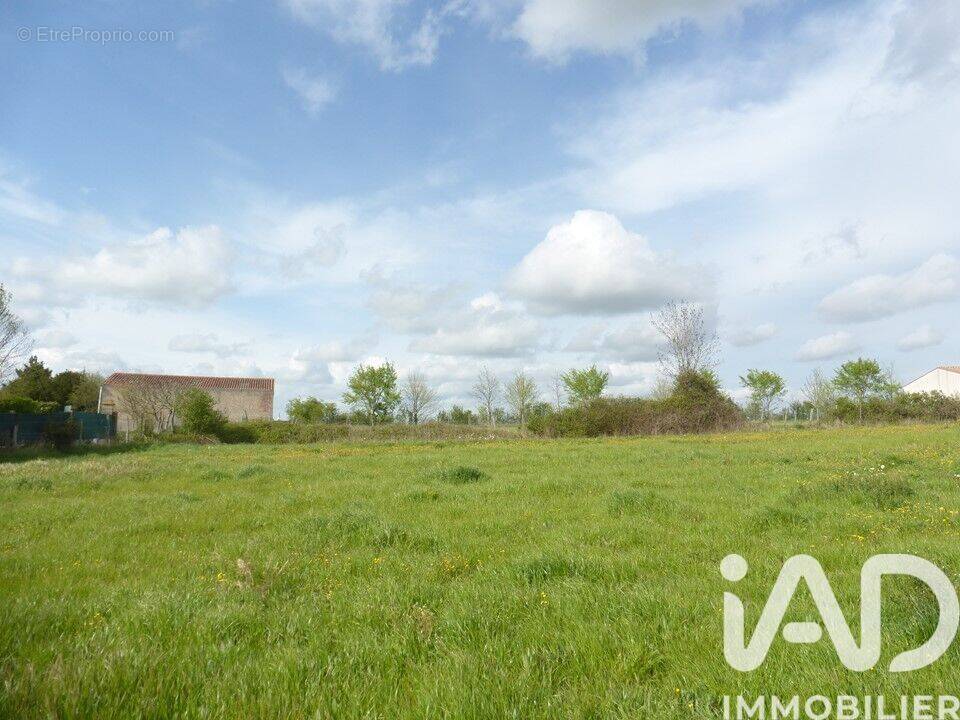 Photo 1 - Terrain à ASNIERES-LA-GIRAUD