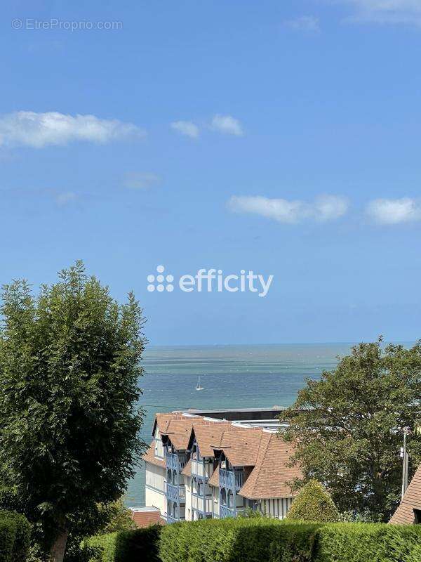 Appartement - photo 13