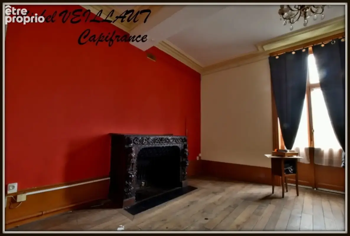 Propriété à vendre avec bâtisse de 15 pièces, 2 gîtes, terrain 7390 m², VILLENEUVE SUR ALLIER (03) - photo 22