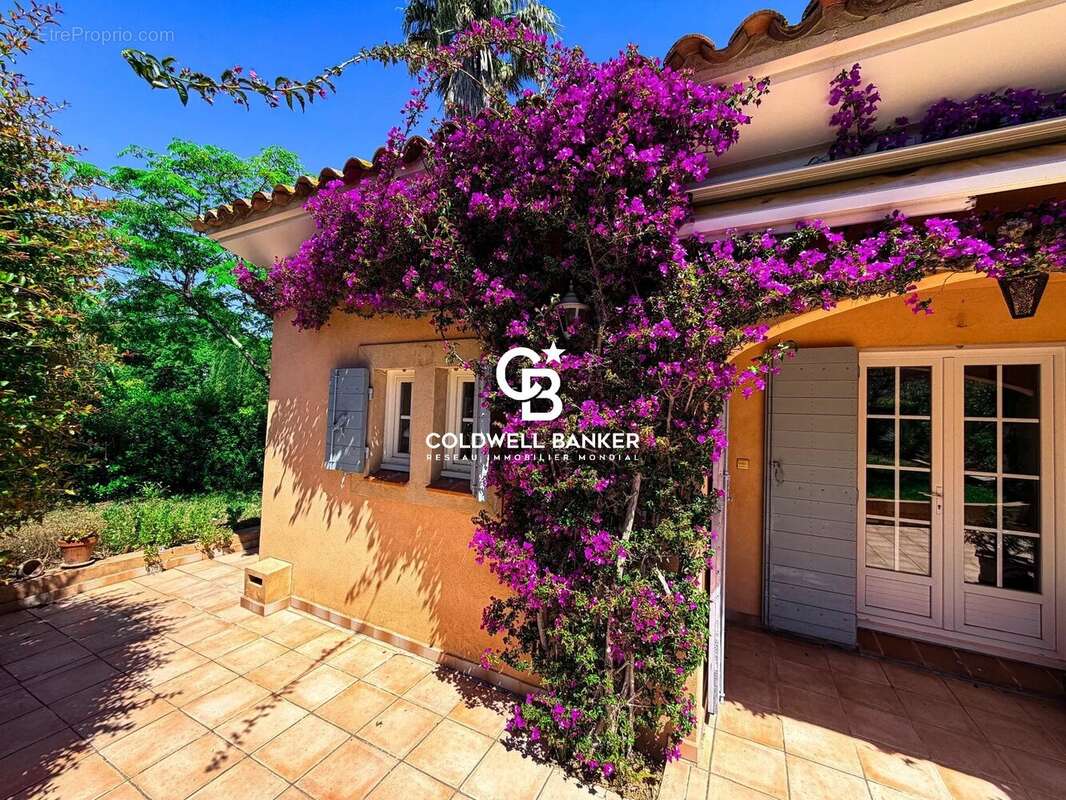Villa de plain pied Le Cap Brun - 83 000 Toulon - photo 6