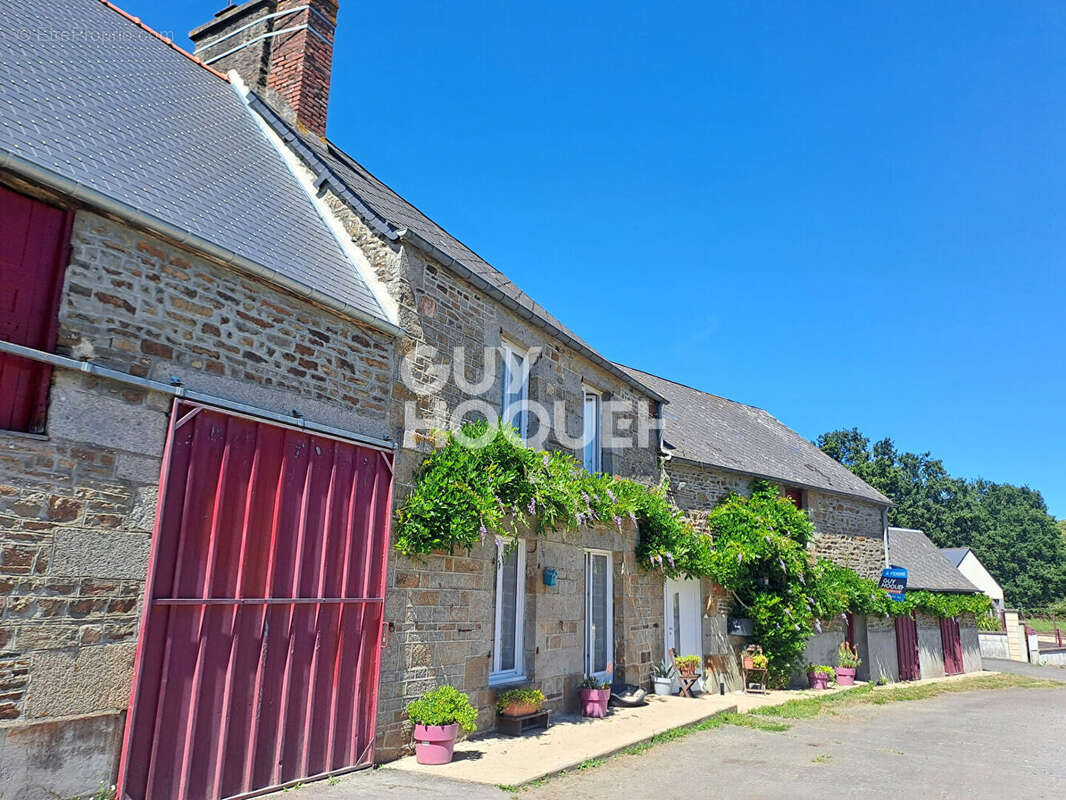 Vieux viel - exclusivite ! - photo 12