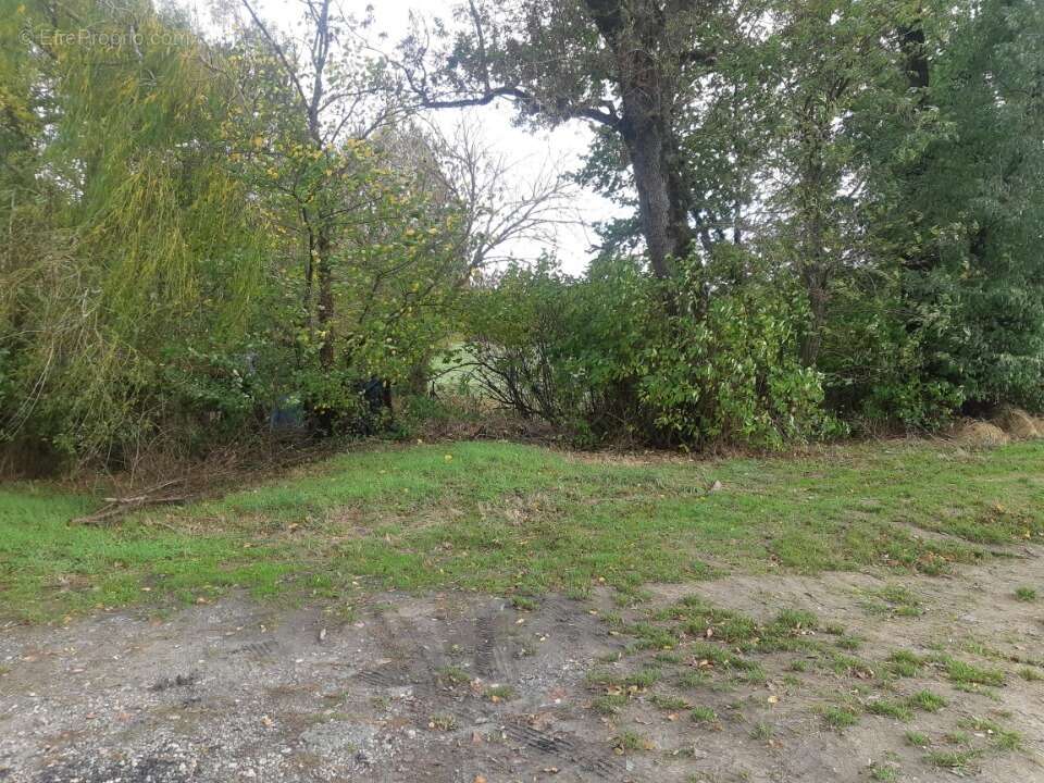 Terrain à CASTELMAUROU