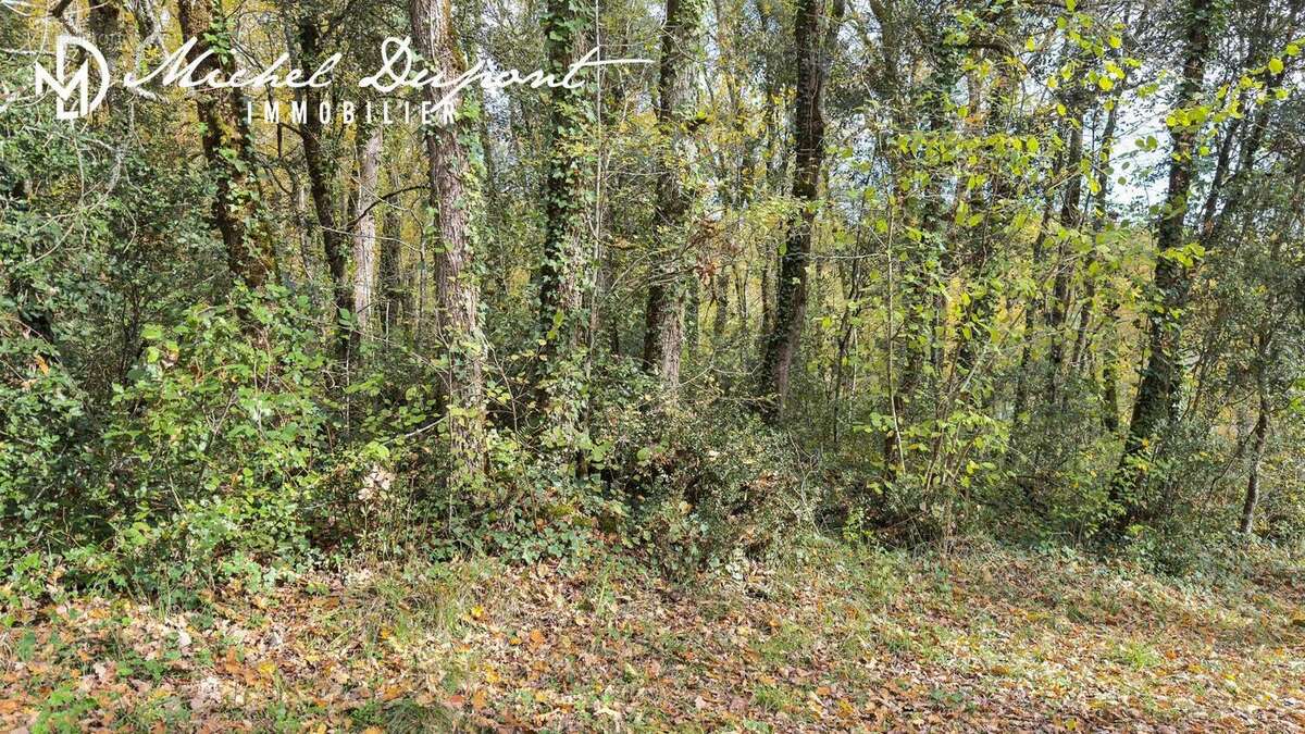 Photo 2 - Terrain à MEYRALS