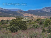 Terrain à LESQUERDE