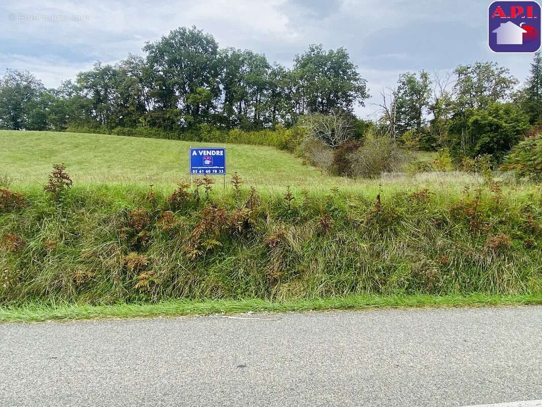 Terrain à DAUMAZAN-SUR-ARIZE