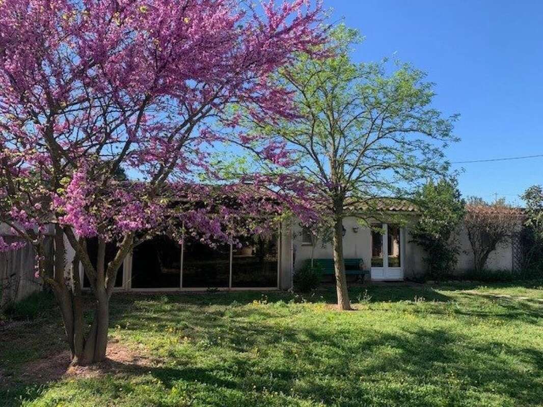 Photo 2 - Maison à BEAUCAIRE