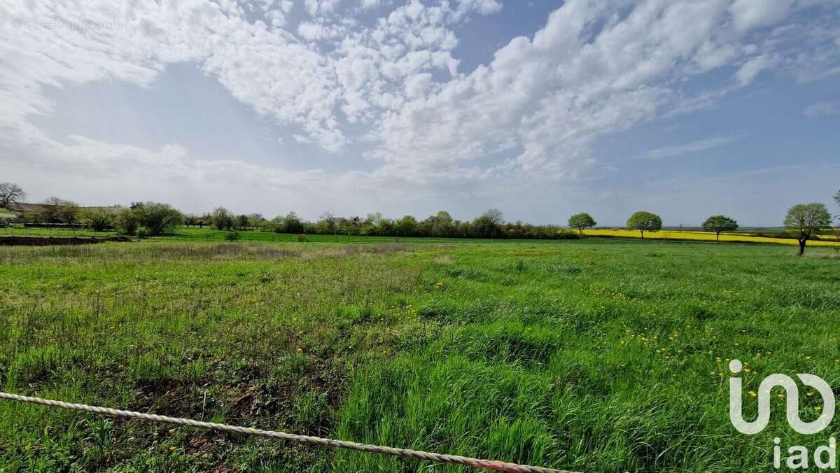 Photo 3 - Terrain à PUXIEUX