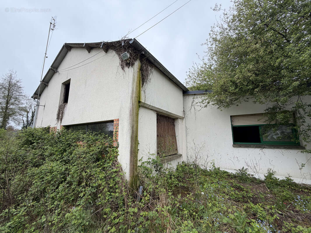 Maison à LOUVIGNE-DU-DESERT