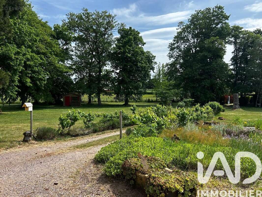 Maison 385 m² à Le Brethon  - photo 6