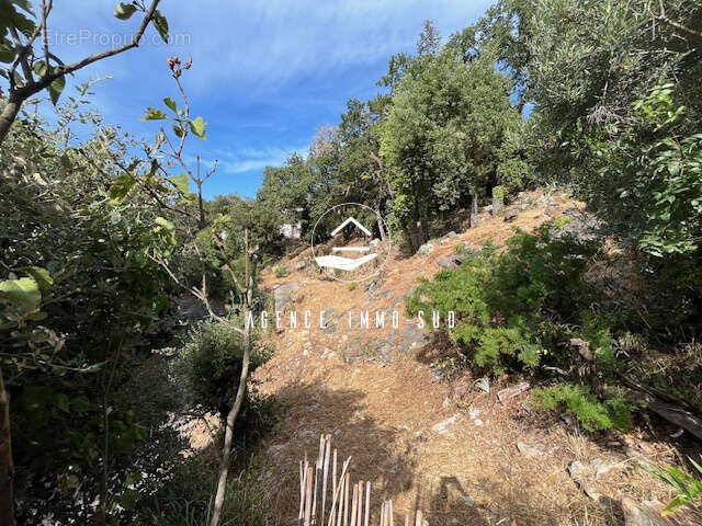 Terrain à TOURRETTES-SUR-LOUP