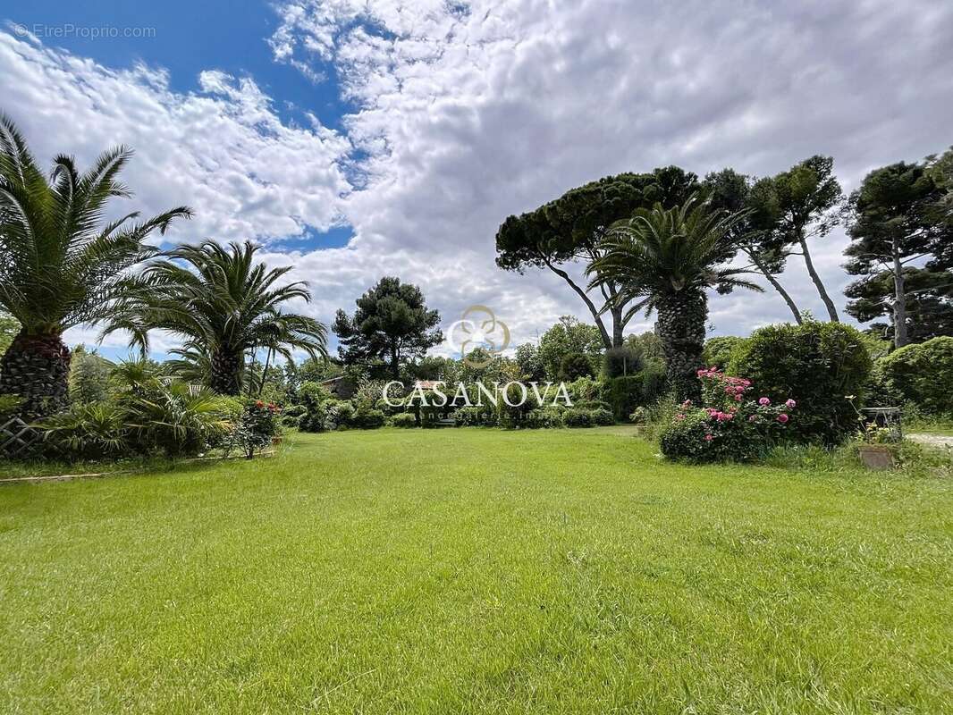 Aux portes de PEZENAS, maison de caractère sur un superbe terrain CONSTRUCTIBLE et DIVISIBLE de 3300 m². A 25 mn du bord de MER, - photo 7