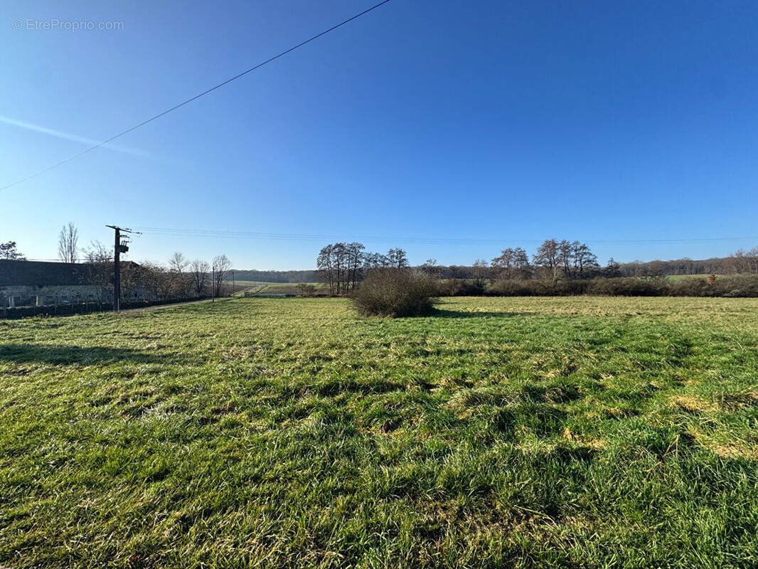 Terrain à BROYE-LES-LOUPS-ET-VERFONTAINE