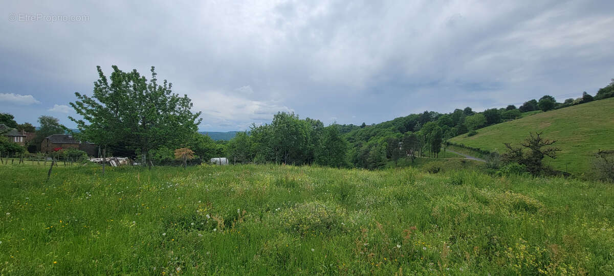Terrain à ALBIGNAC