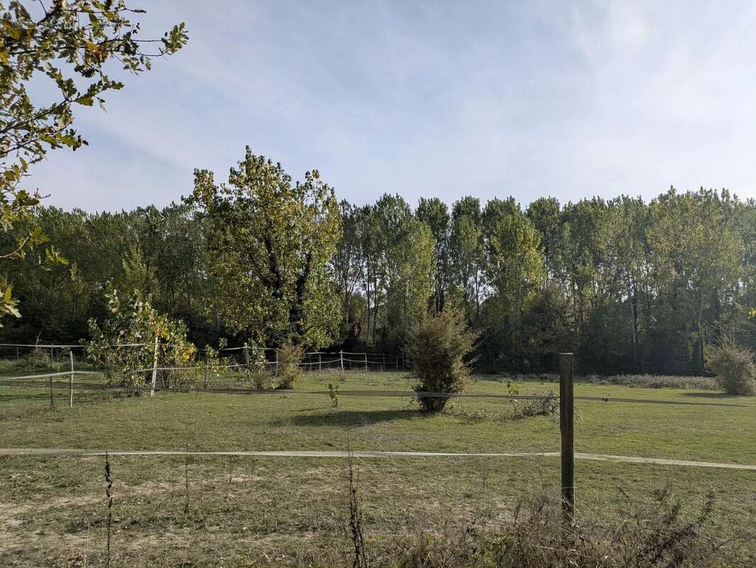 Maison à SAINT-NICOLAS-DE-LA-GRAVE