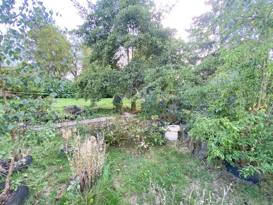 Maison à VIEUX-RENG