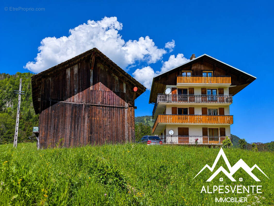 Avendre_appartement_abondance_3chambres_alpesvente_exclusif - Appartement à ABONDANCE