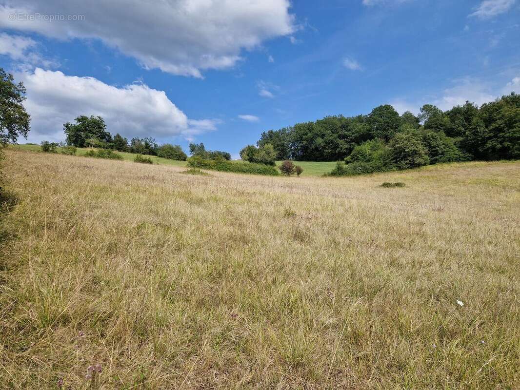 20240806165334 - Terrain à ROUFFIGNAC-SAINT-CERNIN-DE-REILHAC