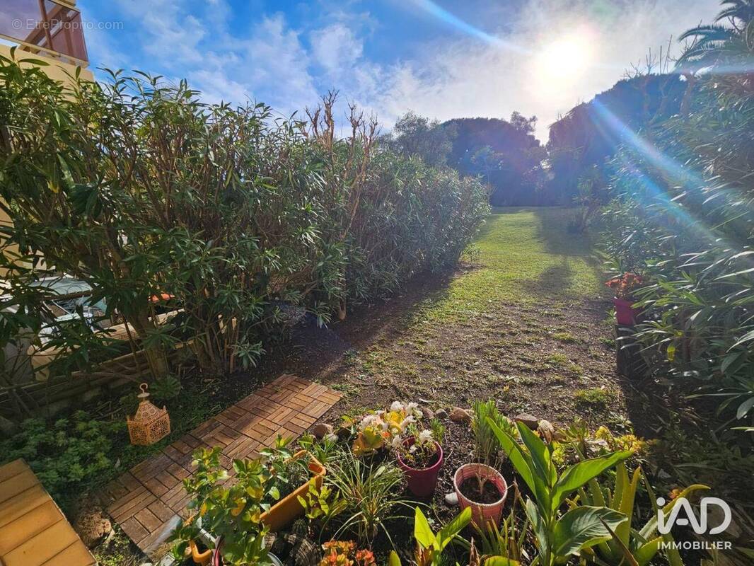 Photo 1 - Appartement à VALLAURIS