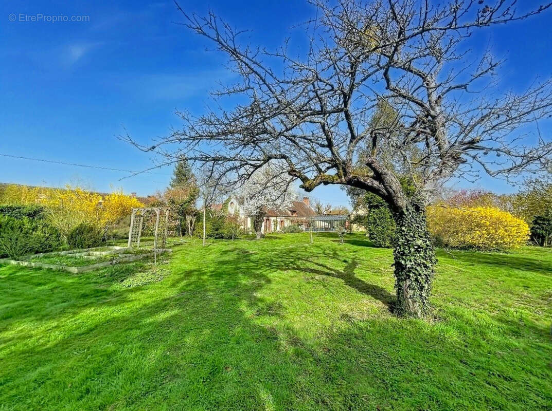 Maison à SAINT-ANGE-ET-TORCAY